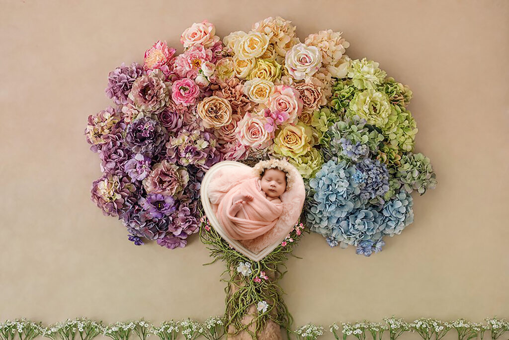 Rainbow Baby Newborn Photography
