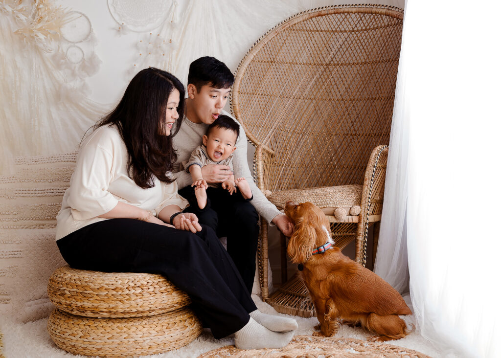family Pet Portrait Photography in milton keynes